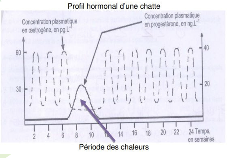 Illustration — LES CHALEURS - SIGNES CLINIQUES ET COMPORTEMENTAUX, DÉTECTION