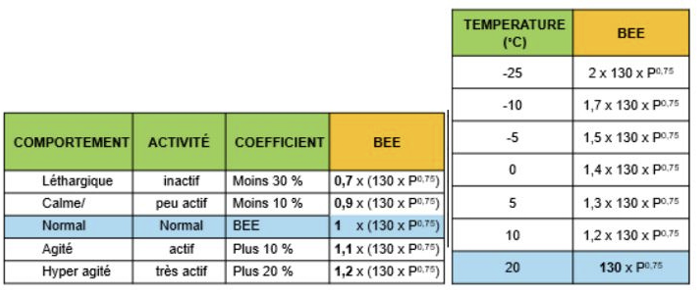 Illustration — EVOLUTION DES BESOINS AU COURS DE LA VIE