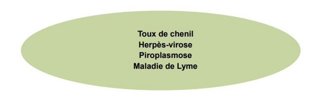 Illustration — APPRÉCIATION DE L’ÉTAT D’ENGRAISSEMENT