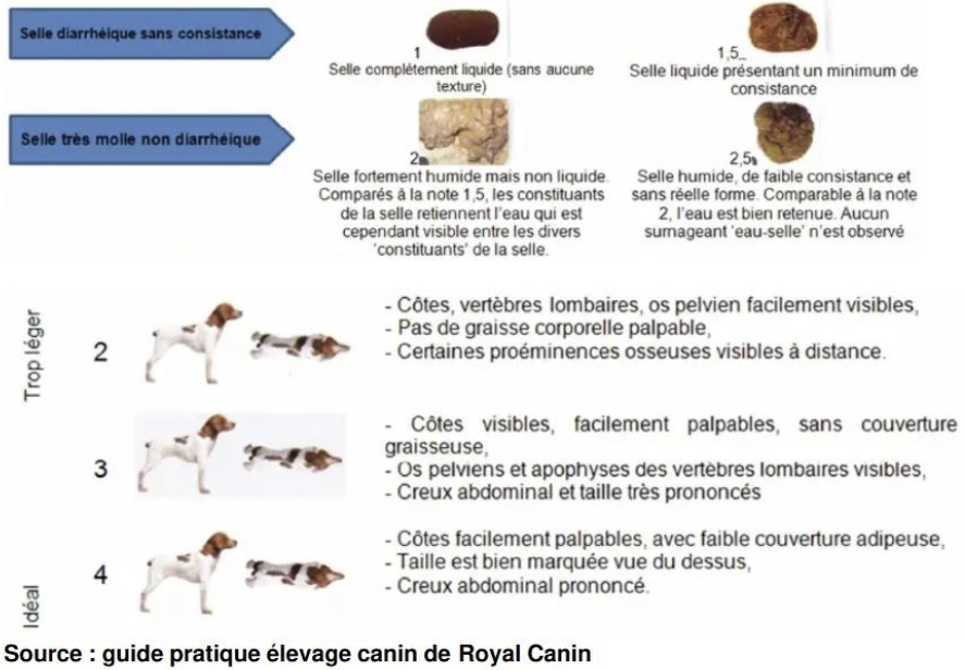 Illustration — UTILISATION DES GRILLES CORRESPONDANTES