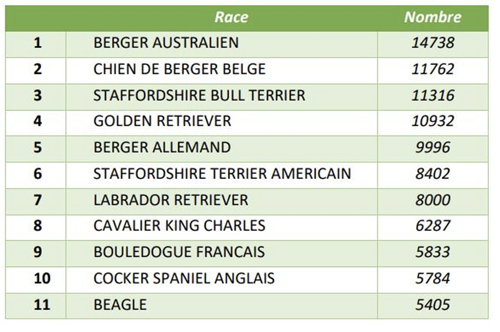 Illustration — TOP RACES PRÉFÉRÉES DES FRANÇAIS