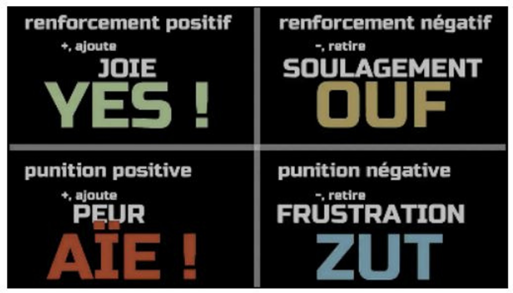 Illustration — L’APPRENTISSAGE CHEZ LE CHIEN