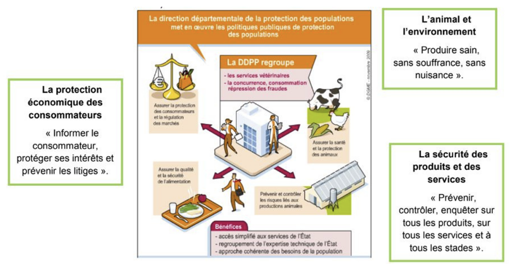 Illustration — LES ACTEURS PUBLICS DE LA PROTECTION ANIMALE