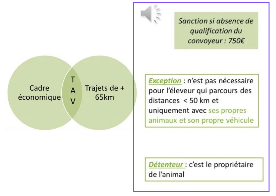 Illustration — CHAMP D’APPLICATION DE LA RÉGLEMENTATION SUR LE TRANSPORT D’ANIMAUX VIVANTS