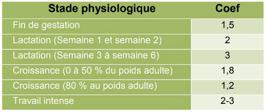 Illustration — BESOINS JOURNALIERS SELON L’ÉTAT PHYSIOLOGIQUE