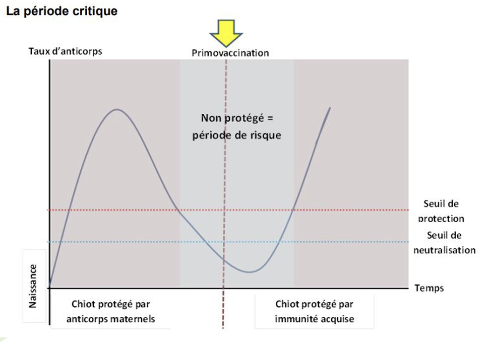 Illustration — NOTION DE PÉRIODE DE RISQUE OU PÉRIODE CRITIQUE