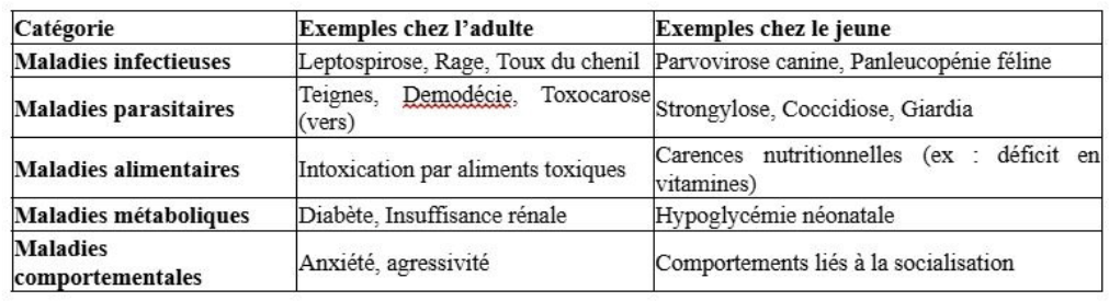 Illustration — LES PREMIERS ÉLÉMENTS DE SUSPICION DE MALADIE INFECTIEUSE